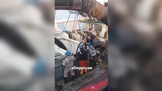 A Dead Fisherman Was Pulled Out Of The Cargo Hold By A Crane