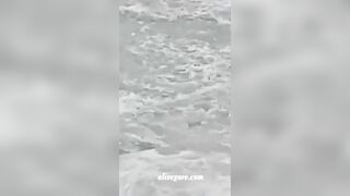 A Couple Was Killed By Boruto While Rafting On A River