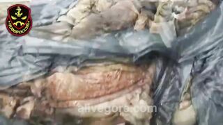 A Pile Of Dead Azov Nazi Soldiers. Ukraine 