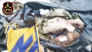 A Pile Of Dead Azov Nazi Soldiers. Ukraine 