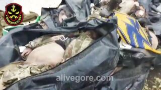 A Pile Of Dead Azov Nazi Soldiers. Ukraine 