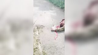 A Ukrainian Soldier Refuses To Fight.