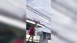 A Worker Accidentally Touched An Electric Cable And Was Electrocuted 