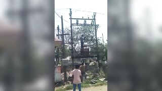 Another Idiot Climbed A Transformer And Was Electrocuted To Death