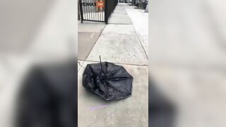 Black People Protest Transgender Story Hour In Brooklyn