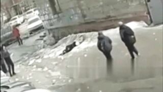 A Block Of Ice Fell On A Woman's Head, Killing Her Final Target