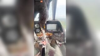 Bloodied Pilot Remains Calm After Giant Bird Crashes