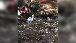 Cat Licks Blood From Dead Nazi's Head 