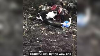 Cat Licks Blood From Dead Nazi's Head 