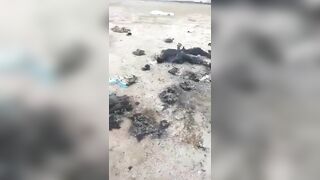 Clashes Between Locals And Cartel Members Claimed Several Lives (