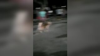 Crazy Bastard Kicks Downed Opponent In The Head 
