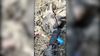 Dead Ukrainian Soldiers 