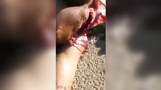 Death Roars 