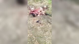 Dismembering A Corpse With A Chainsaw 