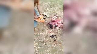 Dismembering A Corpse With A Chainsaw 