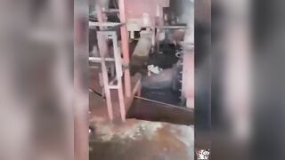 Excavator Explosion Kills At Least One Worker. Manaus, Brazil 