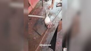 Excavator Explosion Kills At Least One Worker. Manaus, Brazil 