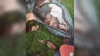 Excavator Explosion Kills At Least One Worker. Manaus, Brazil 