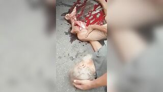 An Old Man's Leg Was Run Over By A Truck...luckily He Was Not Killed.