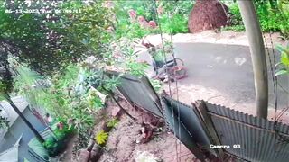 KrudPlug Mobile - Helpless Wheelchair User Beaten To Death