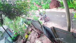 KrudPlug Mobile - Helpless Wheelchair User Beaten To Death