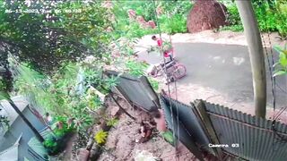 KrudPlug Mobile - Helpless Wheelchair User Beaten To Death