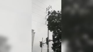 Man Commits Suicide By Hanging Himself On A Telephone Pole (action And Consequences)