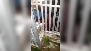 Man Squeezed Between Car And Fence 