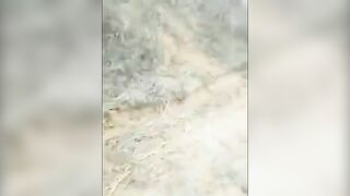 Man Screams Like A Pig As He Is Beaten With Sticks 