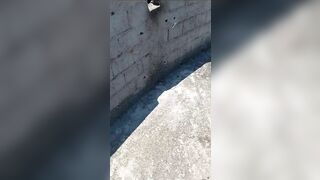 A Man Tried To Kill His Wife And Then Set Himself On Fire. TV