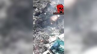 [BBQ Time] The Body Was Disposed Of And Burned With The Garbage TheYN