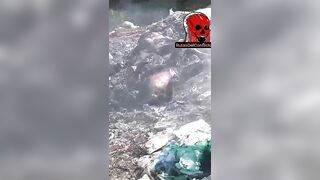 [BBQ Time] The Body Was Disposed Of And Burned With The Garbage TheYN