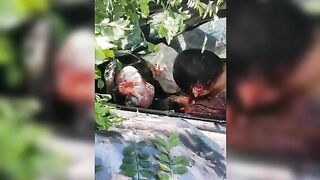 [New Angle] Couple Executed By Sicario In Guayaquil TheYNC