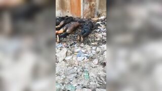 [Part 2] Today We Have Haitian BBQ YNC