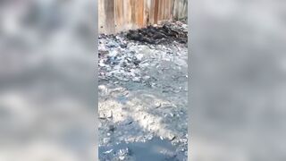 [Part 2] Today We Have Haitian BBQ YNC