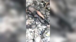 [Part 2] Today We Have Haitian BBQ YNC