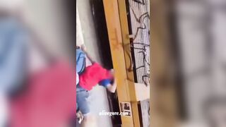 Nicaraguan Woman Killed By Train. Mexico 