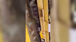 Nicaraguan Woman Killed By Train. Mexico 