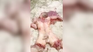 Only The Penis Is Uncircumcised 