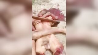 Only The Penis Is Uncircumcised 