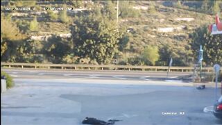 Palestinians Eliminated After Killing Two At Gas Station (CCT