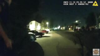 Police Release Video Showing Officers Shooting Armed Man