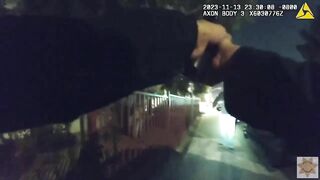 Police Release Video Showing Officers Shooting Armed Man