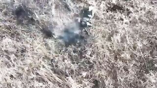 Russian Soldier Blown In Half By Grenade Dropped By Drone.