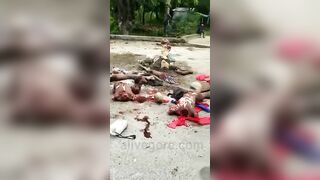 Several Armed Animals Mock The Bodies Of Dead Enemies