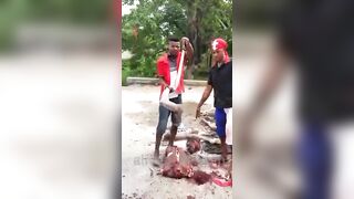 Several Armed Animals Mock The Bodies Of Dead Enemies