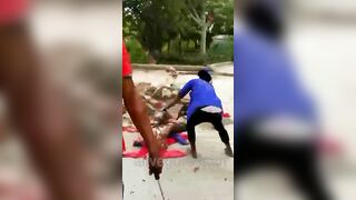Several Armed Animals Mock The Bodies Of Dead Enemies