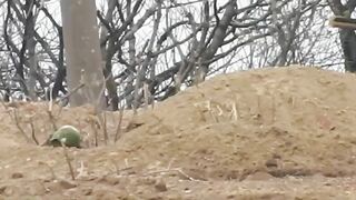 Snipers Destroy Ukrainian Nationalists 