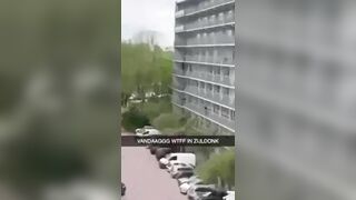 Suicide Falling On The Roof Of A Car 