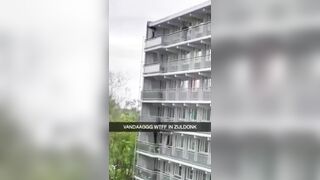 Suicide Falling On The Roof Of A Car 